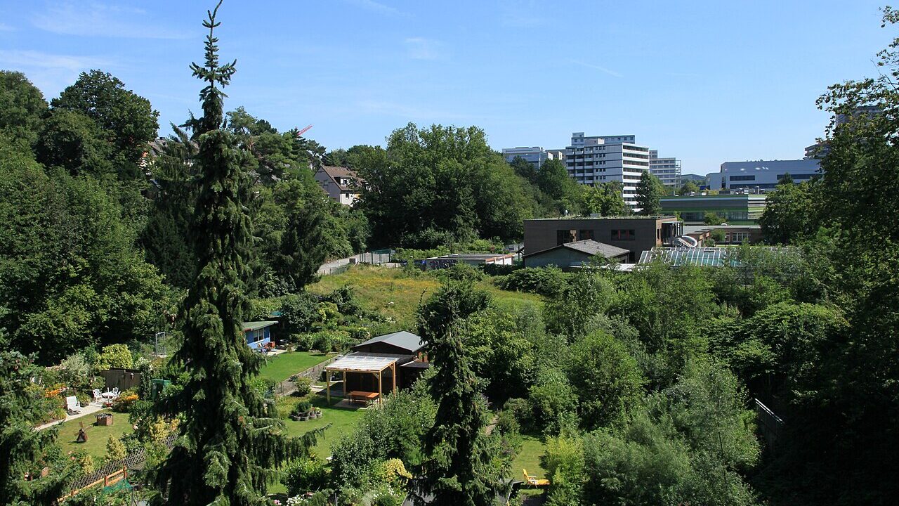 Blick von der Brücke Mühlenbachtal auf die Straße Am Mühlenbach mit Kleingärten