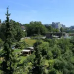 am muehlenbach 150x150 jpg