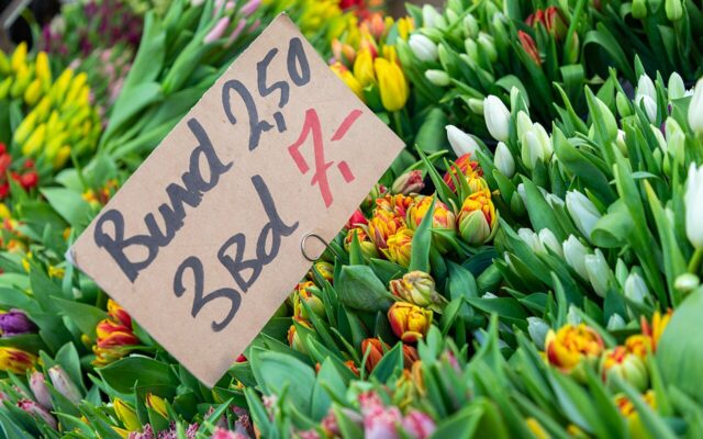 Deine erste Woche in Holsterhausen 2 erste woche