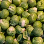 feinkost spezialitaeten holsterhausen 150x150 jpg