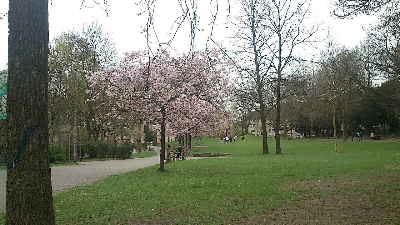 Wege und Wiesen im Westpark in Essen-Frohnhausen