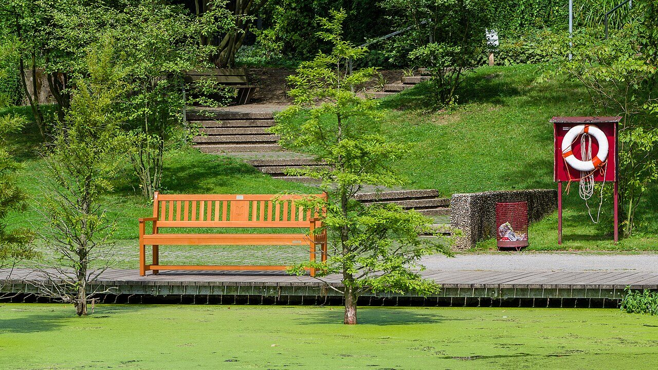 Waldteich im Grugapark in Essen